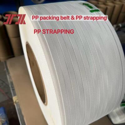 TES エクストルーション 機械 パーツ プラスチスティック 質の良い PP 梱包テープ ストラップ